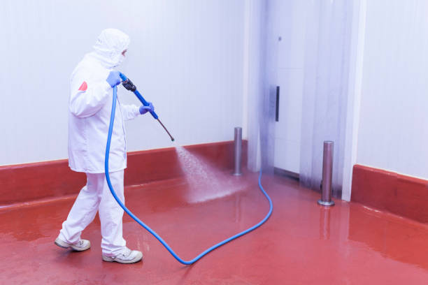 Best House Exterior Washing  in Nice, CA